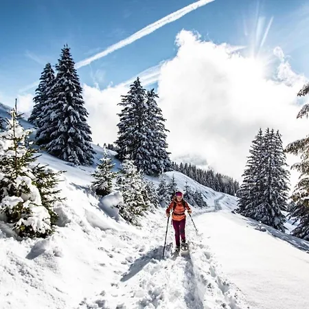 Christina Cr8 Family & Mountain 6 Pers * Châtel
